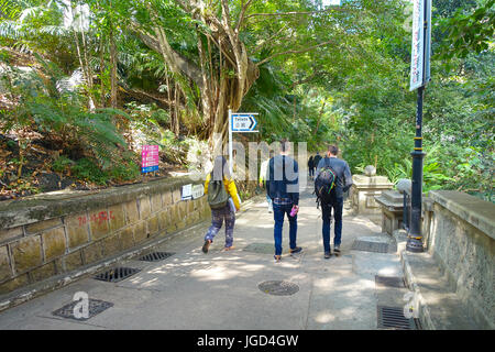 HONG KONG, CINA - 26 gennaio 2017: persone non identificate passeggiata all interno di un parco nella foresta di Hong Kong, Cina. Foto Stock