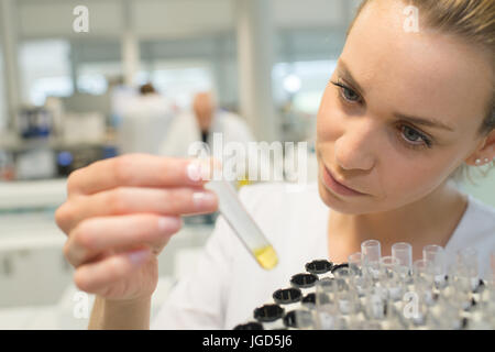 Donna scienziato carichi di campioni in tubi di plastica Foto Stock