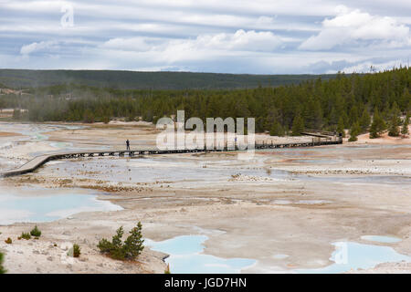 La gente che prende le immagini dal lungomare in porcellana Bacino Trail, Norris Geyser Basin, il Parco Nazionale di Yellowstone Foto Stock