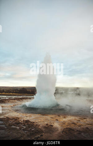 Il Strokkur geyser in Islanda. Essa è parte del Haukadalur area geotermica e uno dei più famosi geyser in Islanda. Foto Stock