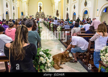 Benedizioni, la massa, la chiesa di San Francisco di Assis, 04/10/2015, Capitale, Vila Clementino, São Paulo, Brasile. Foto Stock