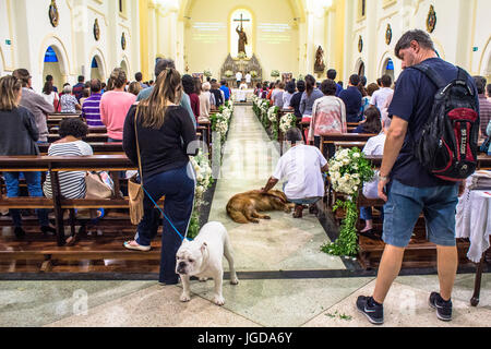 Benedizioni, la massa, la chiesa di San Francisco di Assis, 04/10/2015, Capitale, Vila Clementino, São Paulo, Brasile. Foto Stock