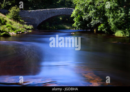 Forza Stainforth cascate e Ponte, vicino a Settle, North Yorkshire Dales Foto Stock