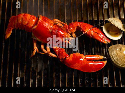 Astice e vongole cuocere Foto Stock