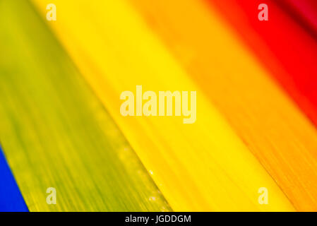 Gruppo di dipinti multicolori fogli di carta Foto Stock