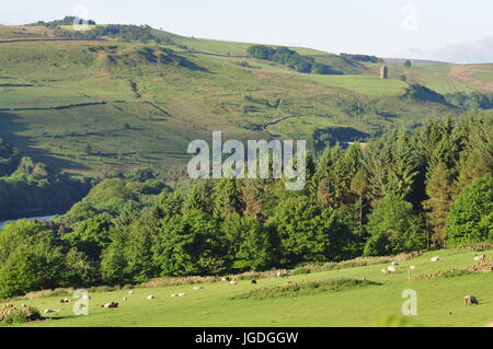 A sud-ovest dal sistema operativo di riferimento griglia 235917, a ovest di bassa Bradfield e Sheffield, Peak District, South Yorkshire, Inghilterra, Regno Unito Foto Stock