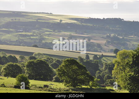 A sud-est dal sistema operativo di riferimento griglia 235917, a ovest di bassa Bradfield e Sheffield, Dale Dike serbatoio, Peak District, South Yorkshire, Inghilterra, Regno Unito Foto Stock