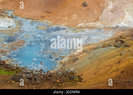 Primavera calda a Seltun, campo geotermico che mostra le fumarole vulcaniche, pentole di fango e le sorgenti di acqua calda, penisola di Reykjanes, Islanda Foto Stock