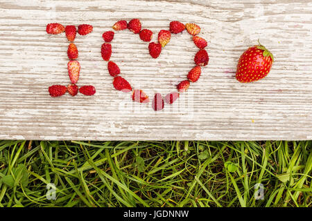 Le fragole sono indicate nelle lettere su uno sfondo di erba verde e bordo. Foto Stock