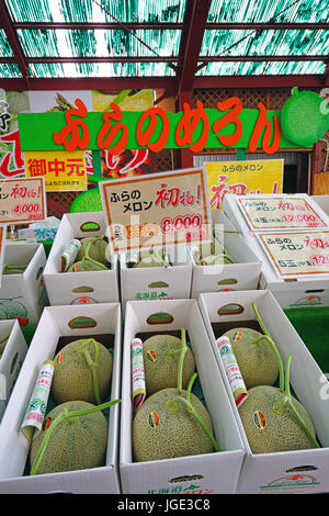 Costoso molto apprezzati i meloni di perfezione delle forme sono prodotte sull'isola di Hokkaido in Giappone che ha un molto protetta agricoltura Foto Stock