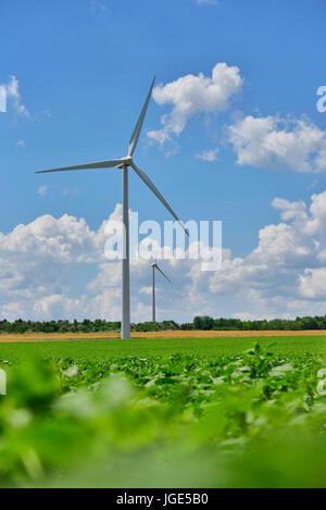 Campo eolico e wind turbines farm sulla campagna in una giornata di sole Foto Stock