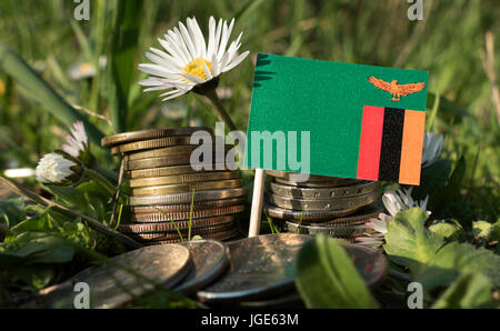 Zambia bandiera con la pila di denaro monete con erba e fiori Foto Stock