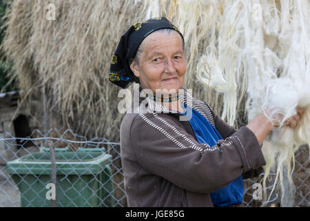 Una donna con lana di pecora ad asciugare all'aria aperta nel Maramures regionA donna con lana di pecora ad asciugare all'aria aperta nella regione Maramures Foto Stock