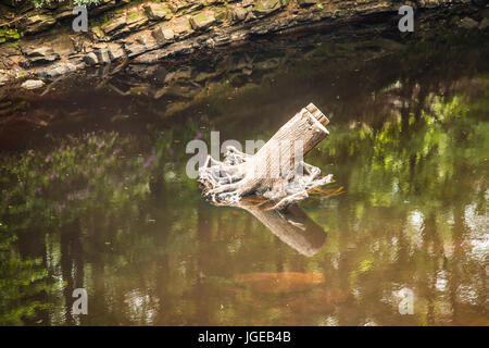 Luce sulla riva del fiume Ray Boswell Foto Stock