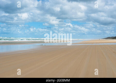 75 Mile beach sull'Isola di Fraser, Queensland, Australia. Foto Stock