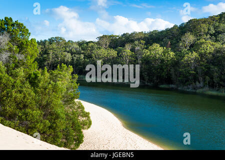 Il lago Wabby, l'Isola di Fraser, Queensland, Australia. Foto Stock