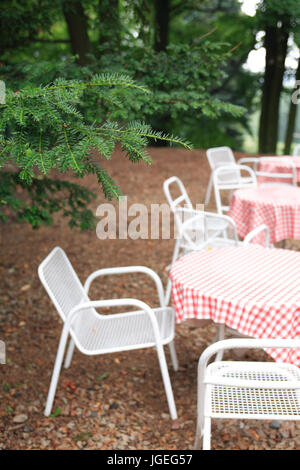 Alcune tabelle vuote e sedie in wet abete in foresta Foto Stock