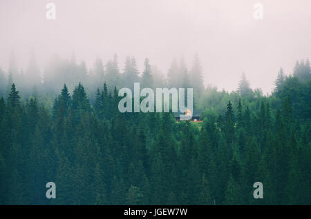 Piccola casa su un verde pendio di montagna Foto Stock