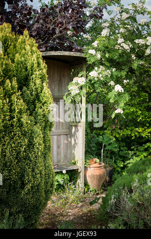 Un angolo di tranquillità di un giardino segreto con la montagna chiedere la fioritura NEL REGNO UNITO Foto Stock