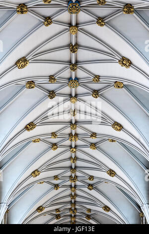 Dettaglio del soffitto, York Minster (la Cattedrale Metropolitical e Chiesa di San Pietro), York, Yorkshire, Inghilterra, Regno Unito Foto Stock