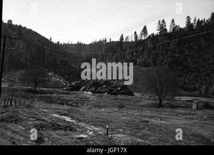 Un gran mucchio di tronchi di alberi abbattuti è visibile in una zona boscosa, con un filo di overhead gru usate per spostare i registri e un taglio chiaro, arido, area visibile in primo piano, California, 1950. Foto Stock