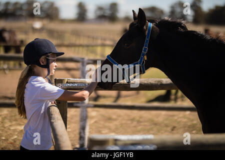 Ragazza accarezzare un marrone cavallo al ranch in una giornata di sole Foto Stock