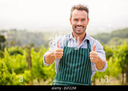 Ritratto di giovane sorridente uomo mostra pollice in alto segno a vigneto Foto Stock