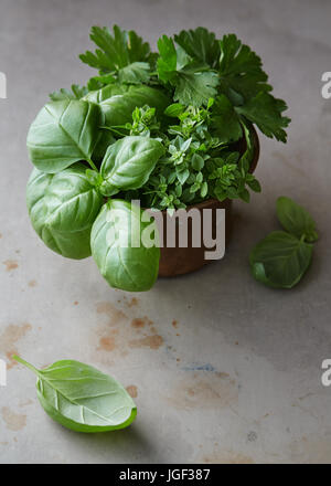 Varietà di erbe aromatiche fresche in una ciotola Foto Stock