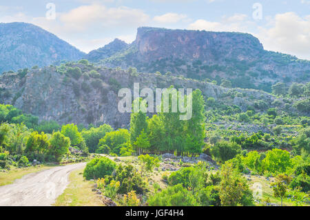 Città antica Pinara situato sulla roccia con tombe rupestri sul pendio, Turchia Foto Stock