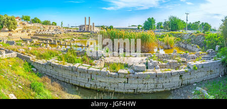 Vista panoramica sulla fondazione inondate di antichi templi in antiche città Letoon, Turchia. Foto Stock