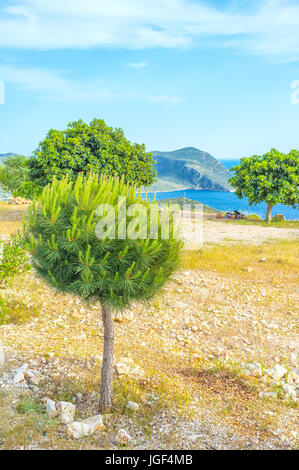 Il miglior modo per godersi la vacanza è di viaggiare lungo la riviera turca, soste in punti di vista tra bellissimi alberi, Kalkan, Turchia Foto Stock