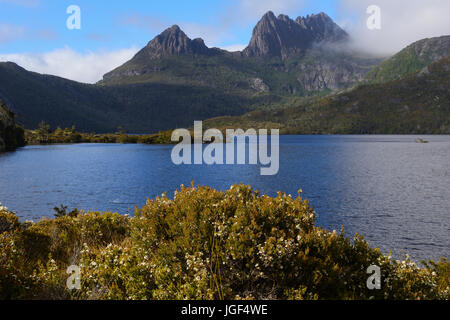 Vista sul lago di Colomba di Cradle Mountain, Cradle Mountain-Lake St Clair National Park, la Tasmania, Australia Foto Stock