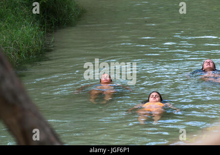 Fiume Eli Creek, Great Sandy National Park, l'Isola di Fraser, Queensland, Australia. Foto Stock