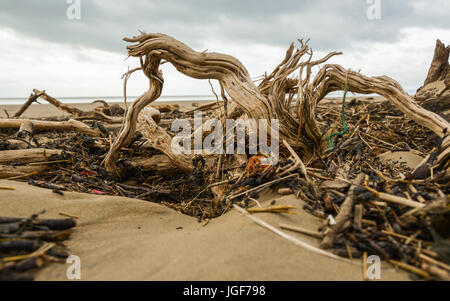 I detriti e i detriti lasciati sulla spiaggia di gallese a seguito di forti venti e condizioni climatiche severe. Regno Unito. Foto Stock