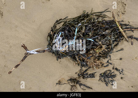I detriti e i detriti lasciati sulla spiaggia di gallese a seguito di forti venti e condizioni climatiche severe. Regno Unito. Foto Stock