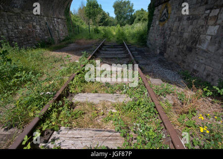 Portishead linea ferroviaria da Bristol, questa sezione dalla pillola a Portishead, smantellata nel 1981, è programmato per essere riaperta. Foto Stock