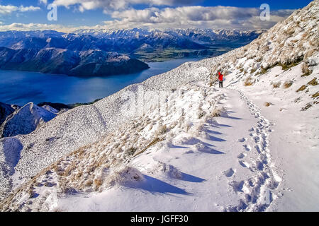 Trekker camminando lungo il sentiero che conduce alla vetta del Monte Roy, Isola del Sud, Nuova Zelanda Foto Stock