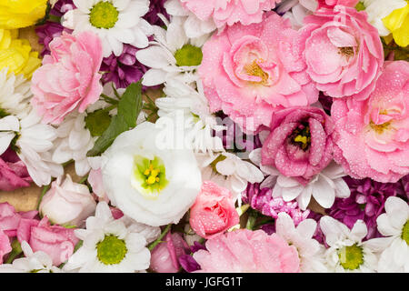 Rose, lisianthus e altri fiori colorati disposti come un naturale con sfondo bianco e fiori di rosa - soft close up immagine con gocce d'acqua Foto Stock