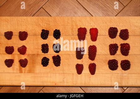 Frutta morbida. Da sinistra a destra, lamponi, "Boysenberries", Tayberries, Tummelberries. Foto Stock