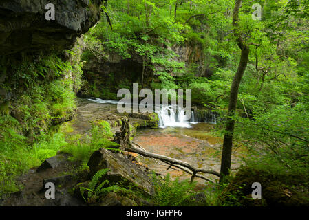 Sgwd Ddwli ISAF (Lower Gshing Falls) cascata sul Nedd Fechan nel Bannau Brycheiniog (Brecon Beacons) National Park vicino a Pontneddfechan, Powys, Galles. Foto Stock