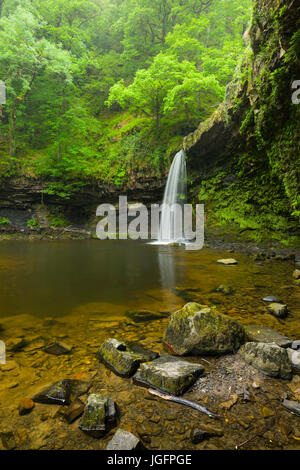 Sgwd Gwladus (Lady's Falls) cascata sull'Afon Pyrddin nel Bannau Brycheiniog (Brecon Beacons) National Park vicino a Pontneddfechan, Powys, Galles. Foto Stock