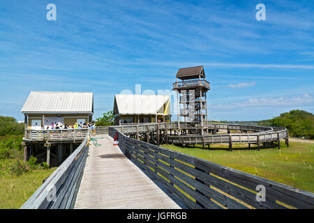 In Louisiana, Jefferson parrocchia, Grand Isle State Park, torre di osservazione si affaccia sul molo di pesca, i bambini sulla gita Foto Stock