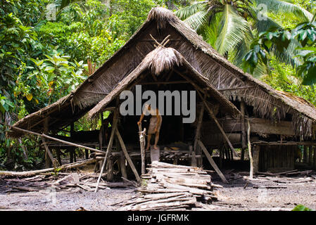 MENTAWAI persone, a ovest di Sumatra, SIBERUT ISOLA, Indonesia - 16 novembre 2010: la casa tradizionale nella giungla Mentawai tribù. Foto Stock