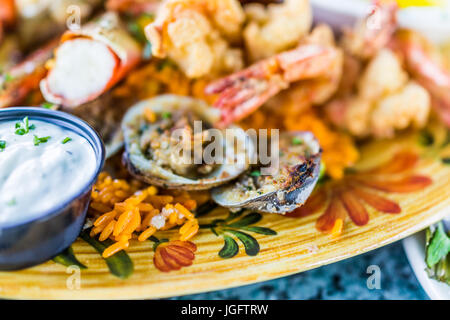 Macro closeup di vongole e frutti di mare sulla piastra con salsa tartara Foto Stock
