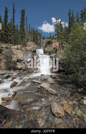 Groviglio Creek Falls, Jasper National Park, Alberta, Canada Foto Stock