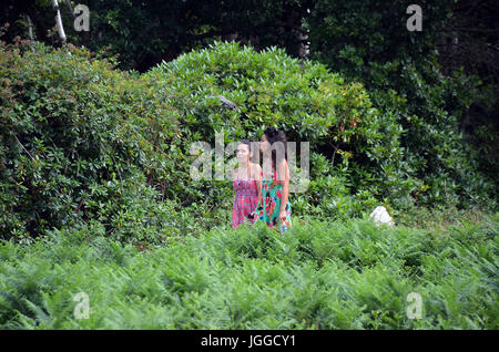 Londra, UK, 7 luglio 2017 godendo il sole in Richmond Park Credit: JOHNNY ARMSTEAD/Alamy Live News Foto Stock