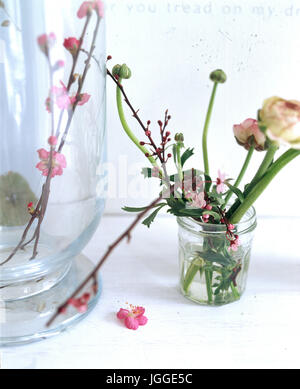 Fiori di Primavera in vaso di vetro Foto Stock