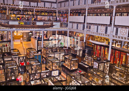 Pitt fiume museo,Raccolta di oggetti prelevati nel corso dell'ultimo secolo,Oxford,Oxfordshire, Regno Unito Foto Stock