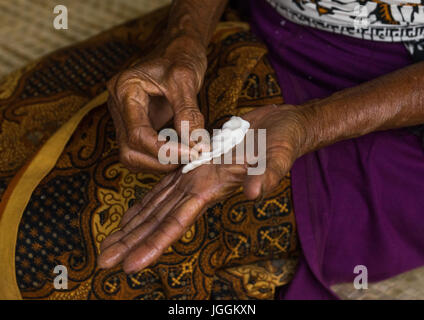 Vecchia donna preparare offerte in un tempio, isola di Bali, Tampaksiring, Indonesia Foto Stock