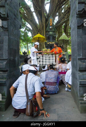 Famiglia pregando per un abbondante raccolto di riso in un santuario di Tirta Empul temple, isola di Bali, Tampaksiring, Indonesia Foto Stock